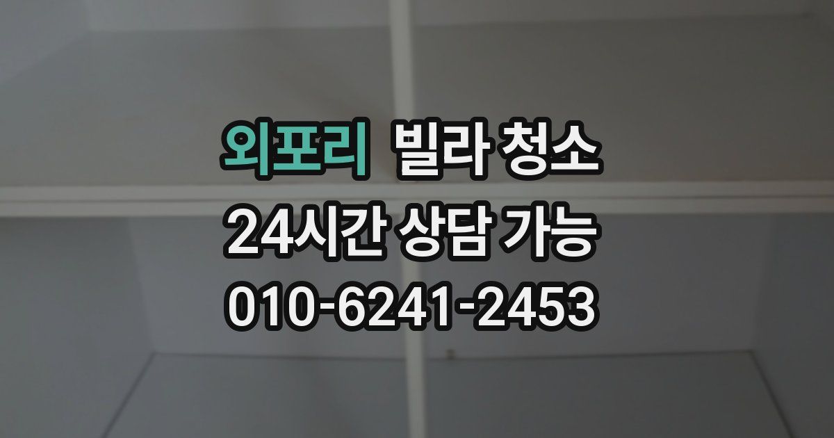 외포리 빌라 청소