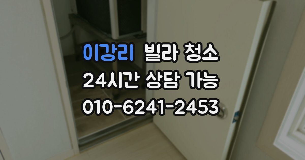 이강리 빌라 청소