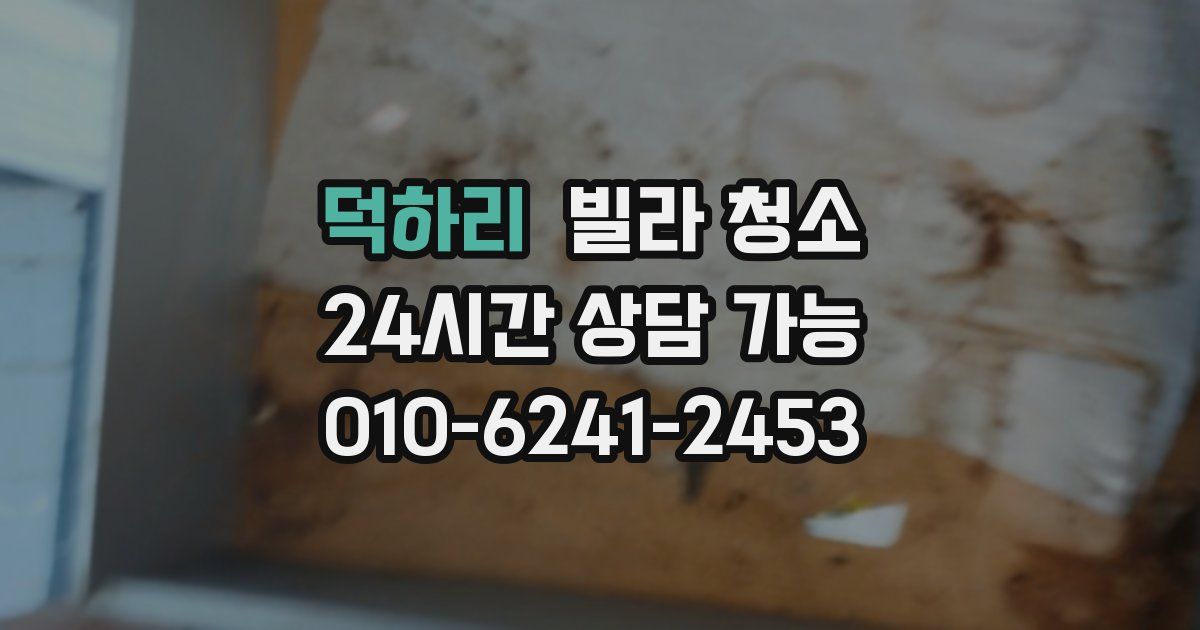 덕하리 빌라 청소
