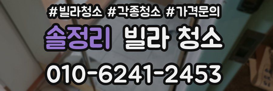 솔정리 빌라 청소