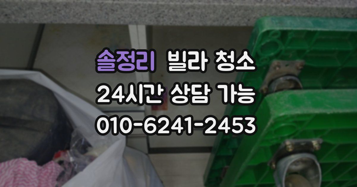 솔정리 빌라 청소