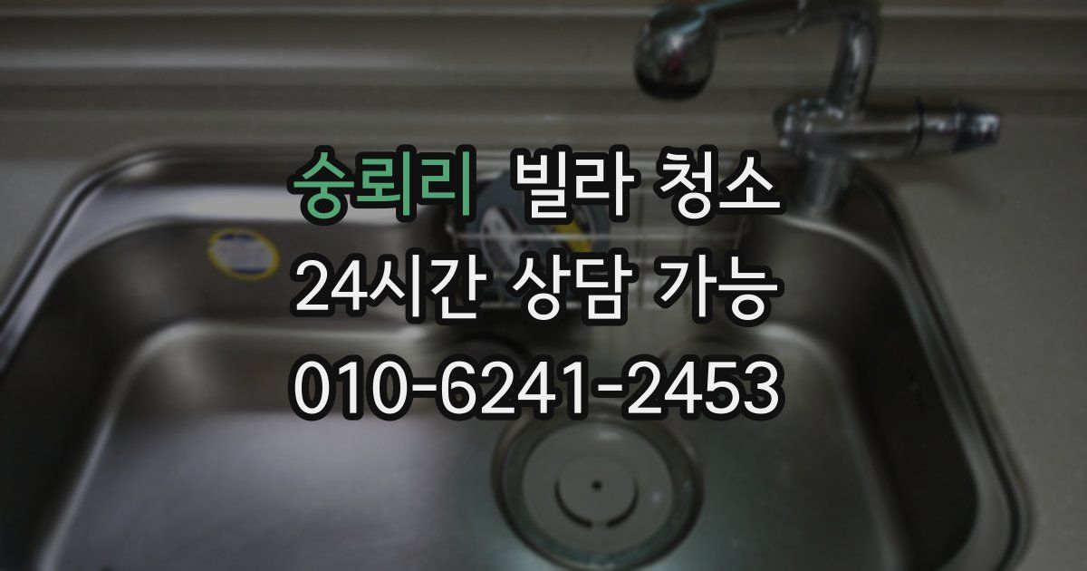 숭뢰리 빌라 청소