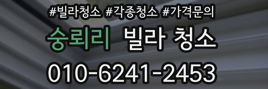 숭뢰리 빌라 청소