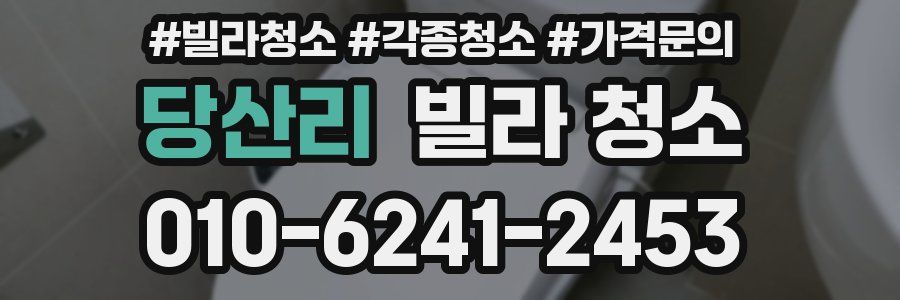 당산리 빌라 청소