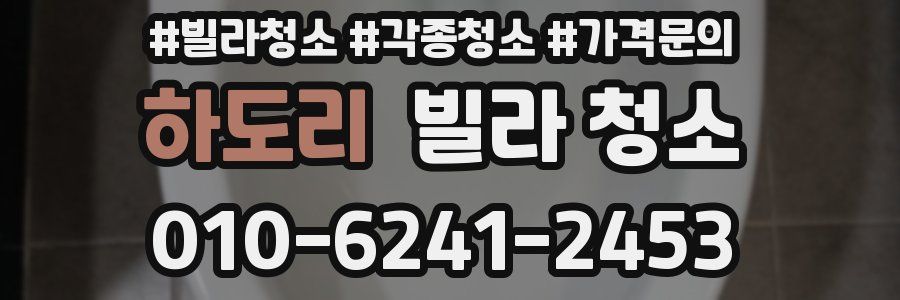 하도리 빌라 청소