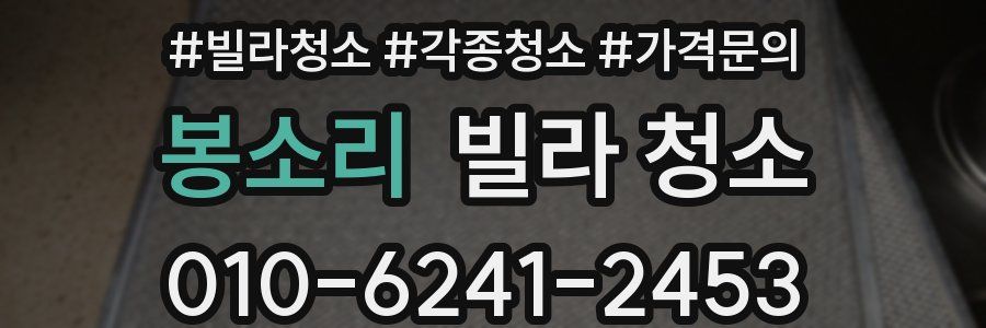 봉소리 빌라 청소