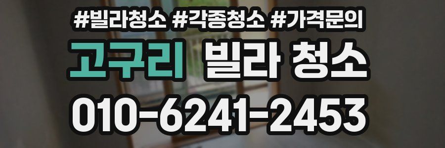 고구리 빌라 청소