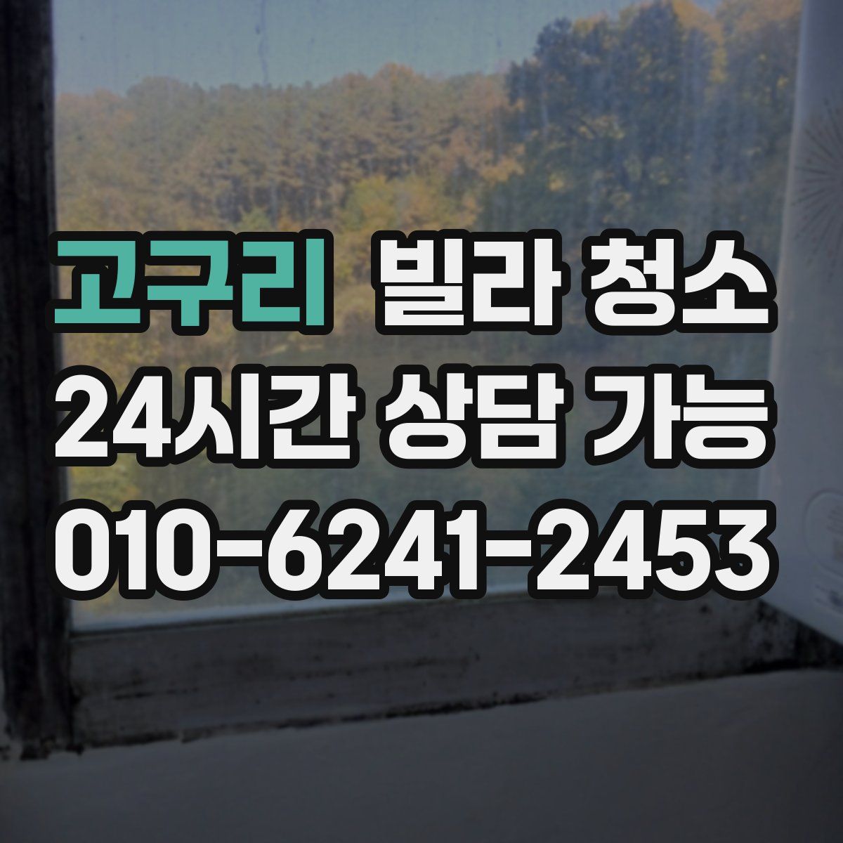 고구리 빌라 청소