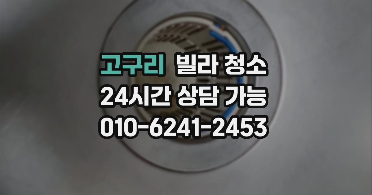 고구리 빌라 청소