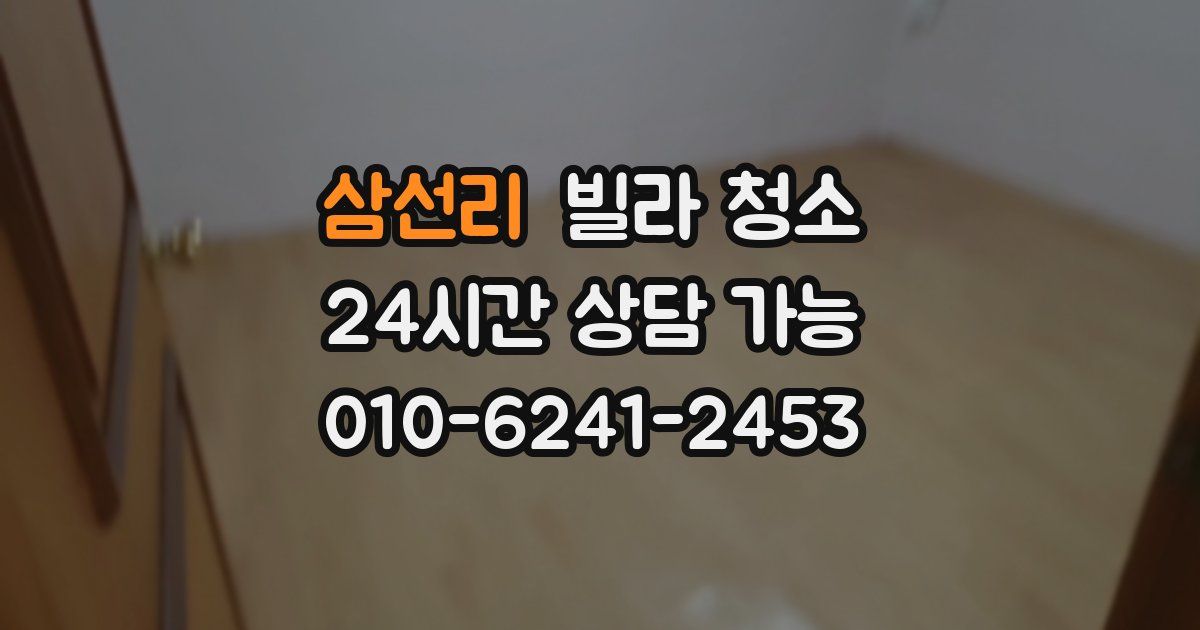 삼선리 빌라 청소