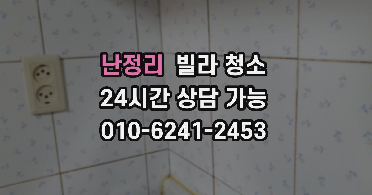 난정리 빌라 청소