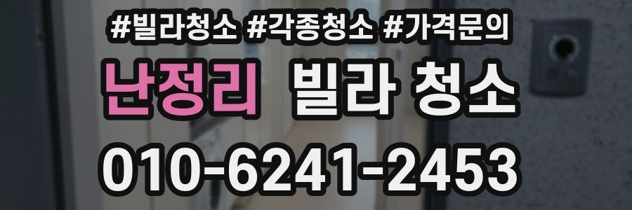 난정리 빌라 청소