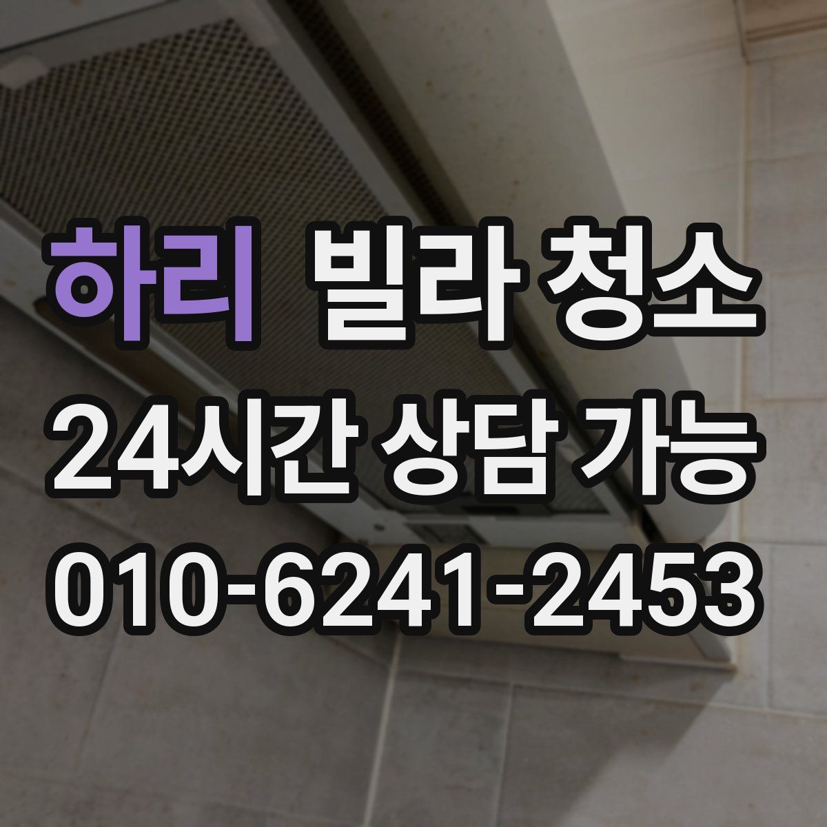 하리 빌라 청소