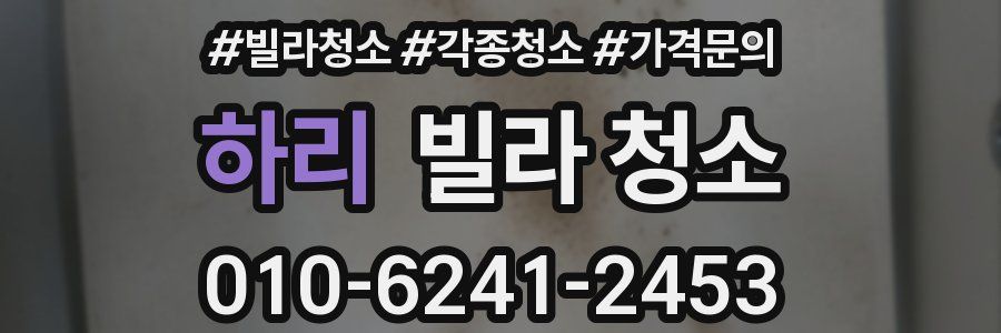 하리 빌라 청소