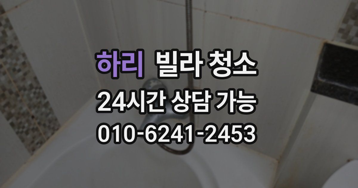 하리 빌라 청소