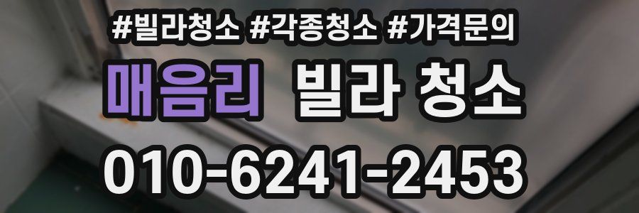 매음리 빌라 청소