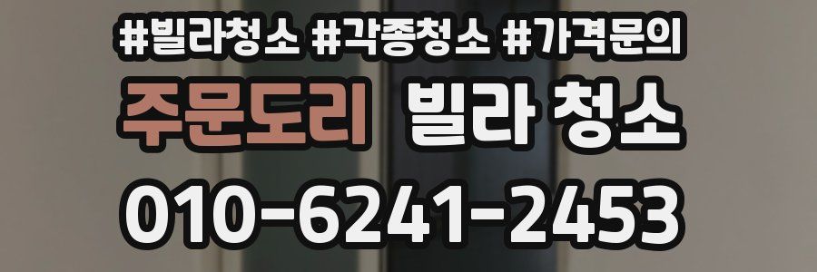 주문도리 빌라 청소