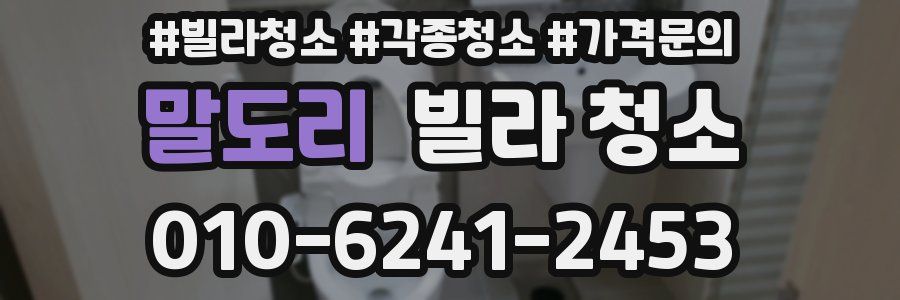 말도리 빌라 청소