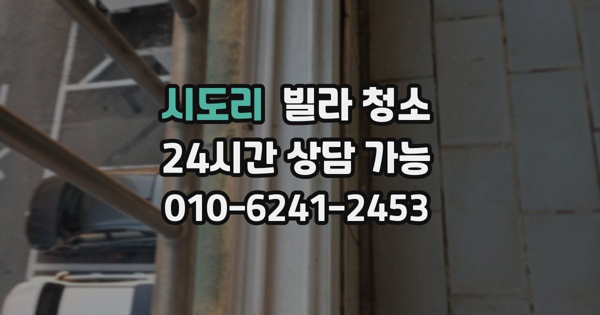 시도리 빌라 청소