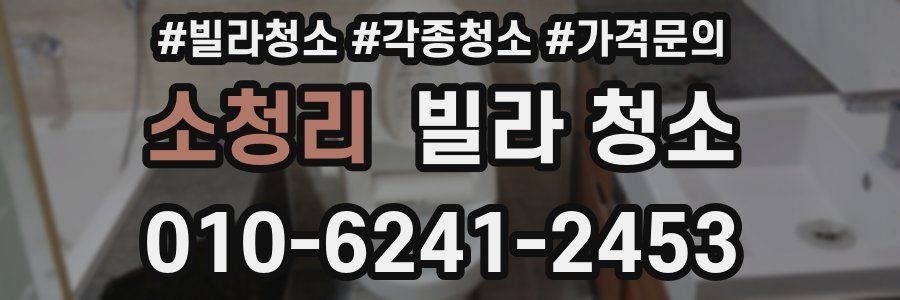 소청리 빌라 청소