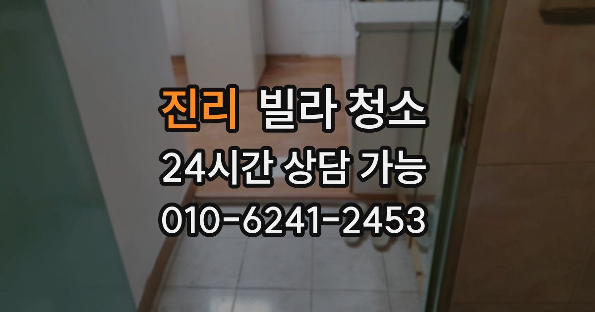 진리 빌라 청소