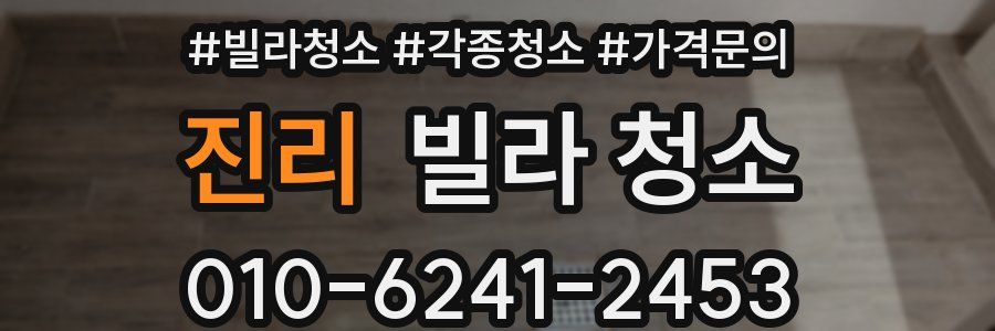 진리 빌라 청소