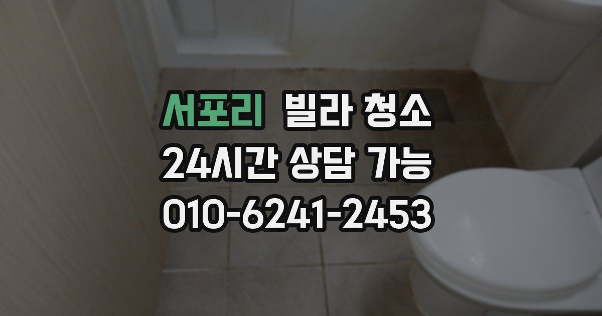 서포리 빌라 청소