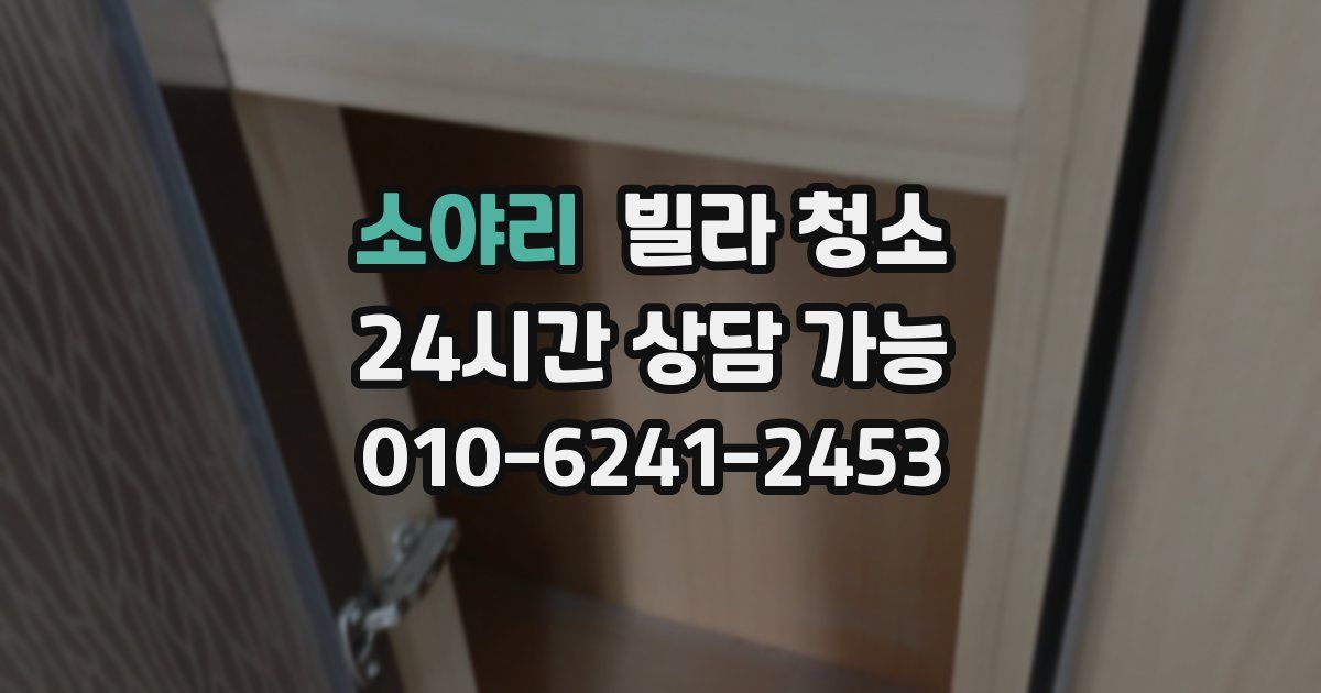 소야리 빌라 청소