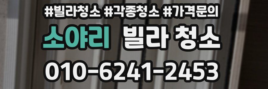 소야리 빌라 청소