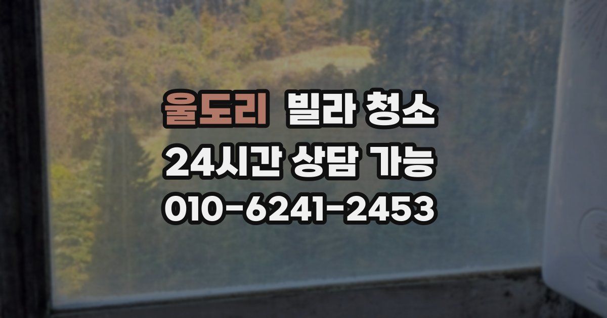 울도리 빌라 청소