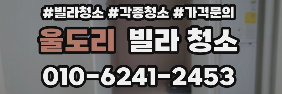 울도리 빌라 청소