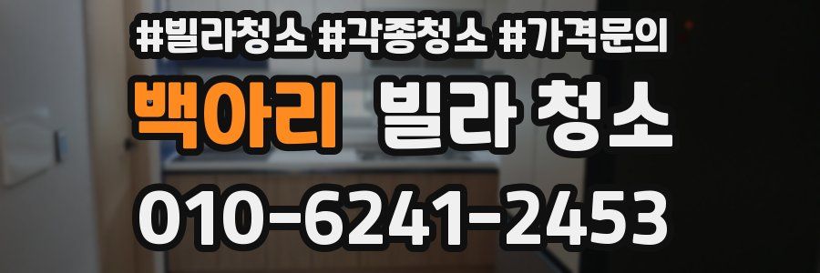 백아리 빌라 청소