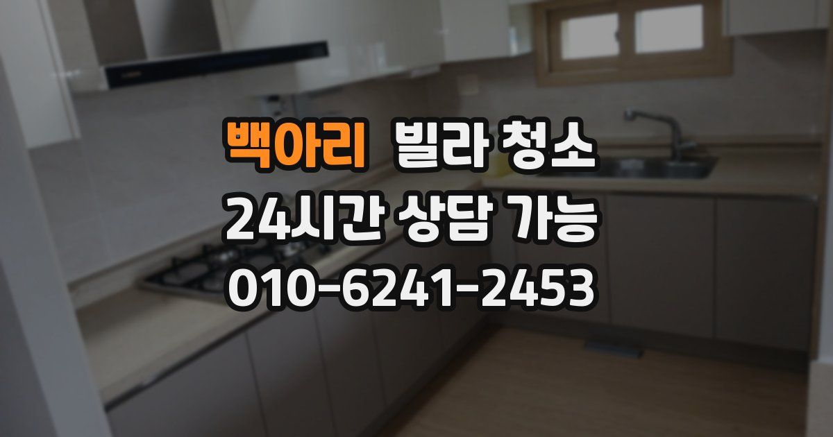 백아리 빌라 청소