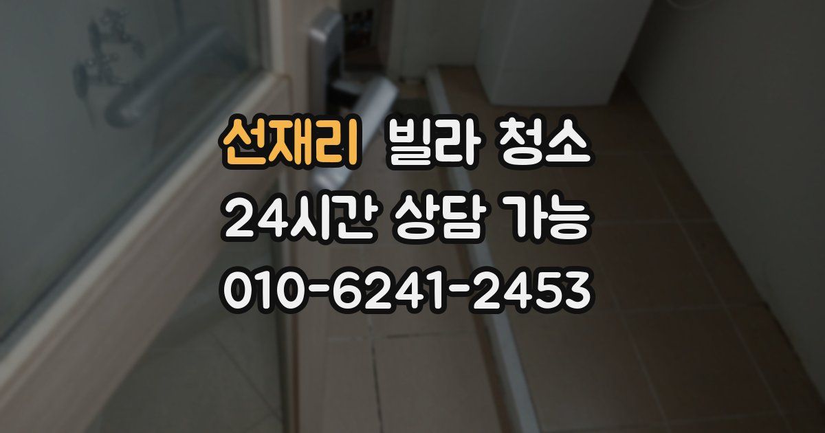 선재리 빌라 청소