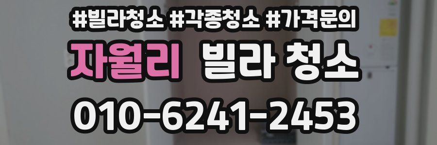 자월리 빌라 청소