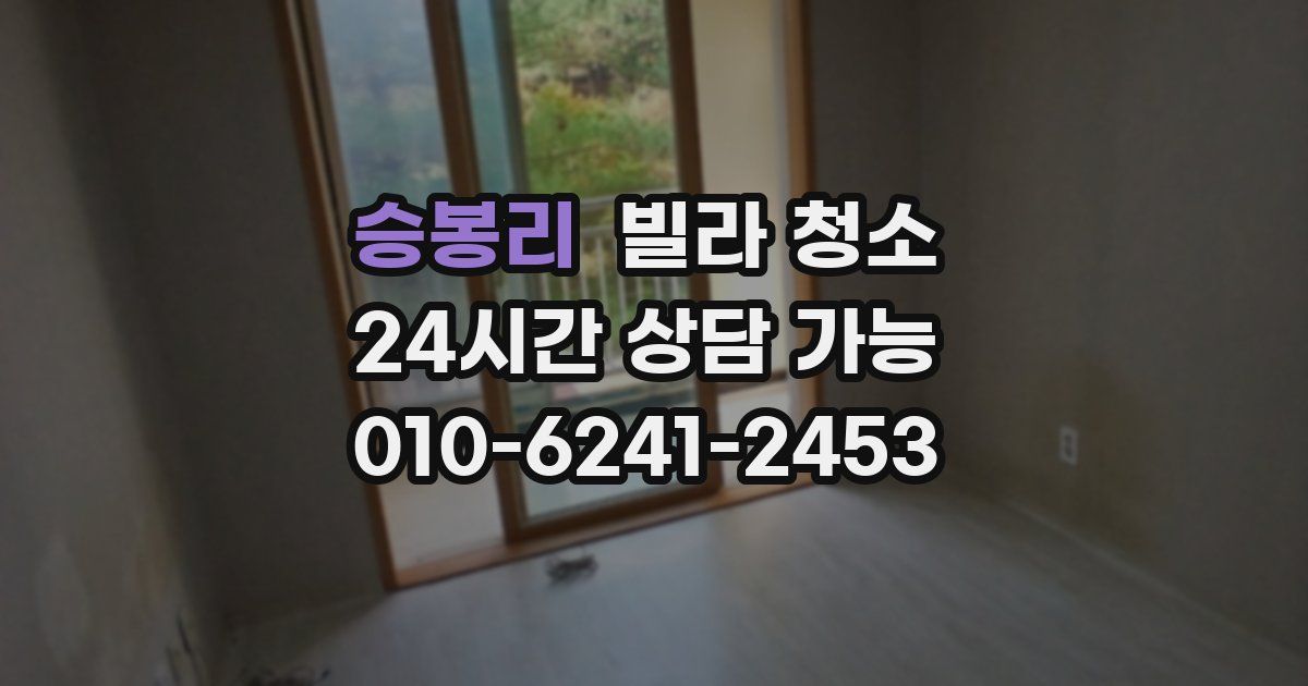 승봉리 빌라 청소