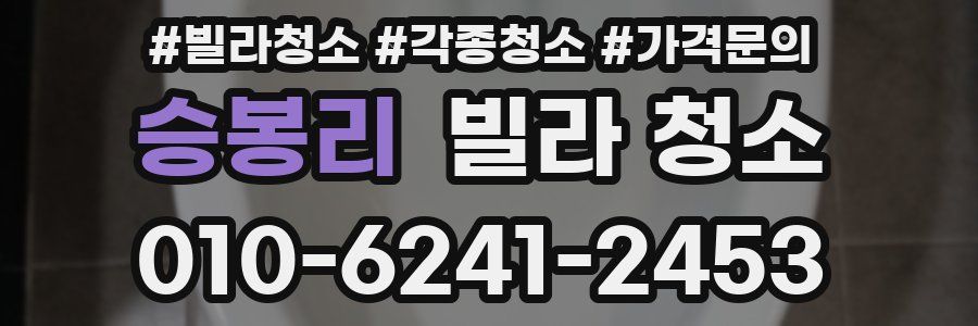 승봉리 빌라 청소