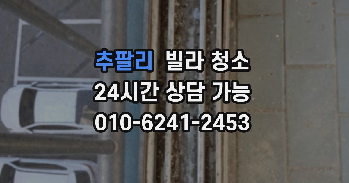 추팔리 빌라 청소