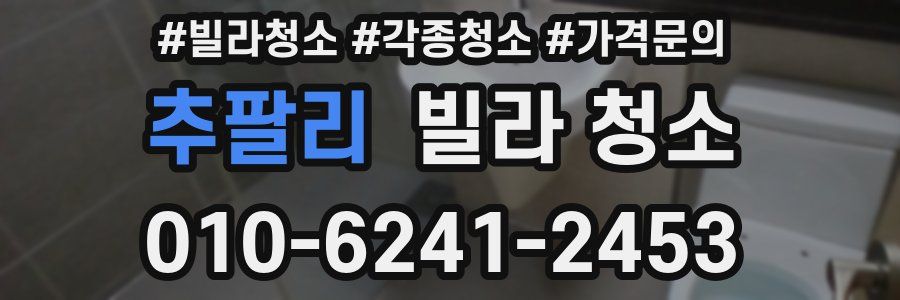 추팔리 빌라 청소