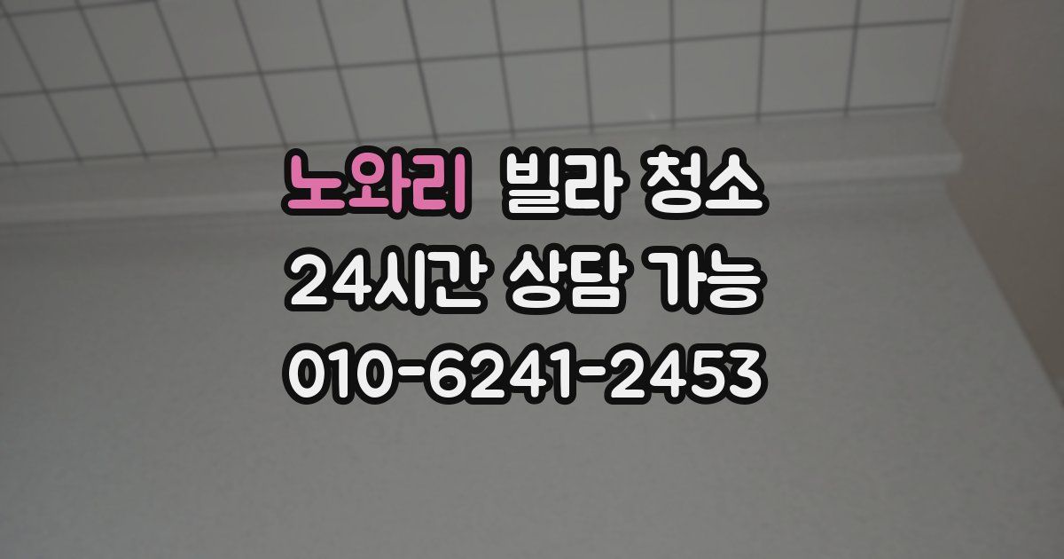 노와리 빌라 청소
