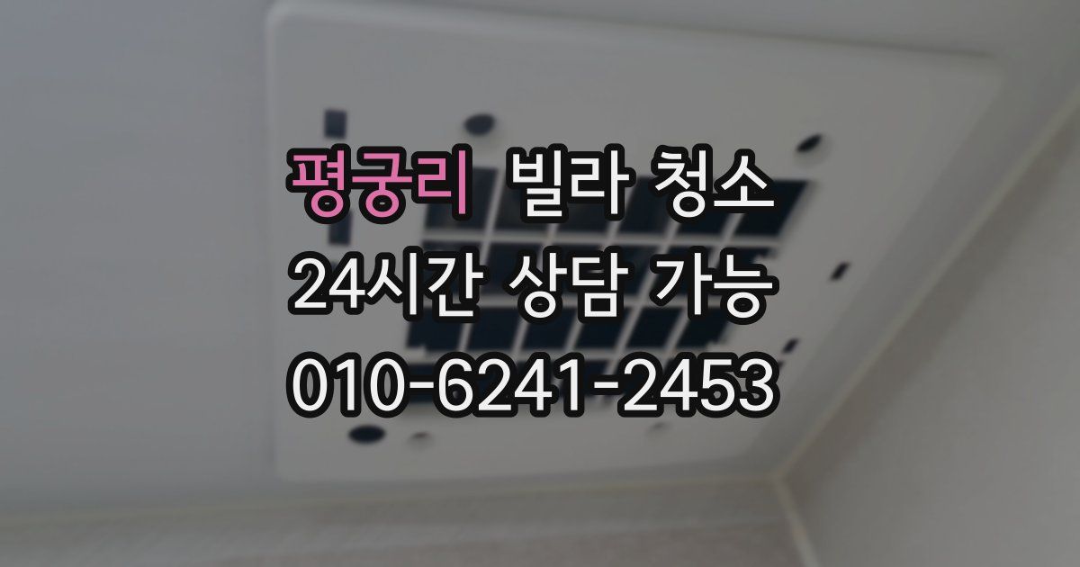 평궁리 빌라 청소