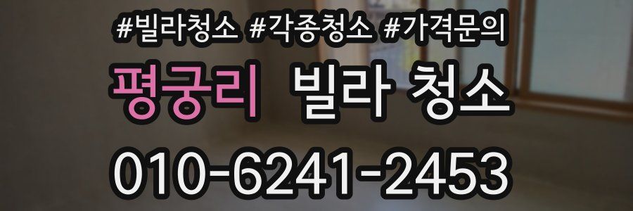 평궁리 빌라 청소