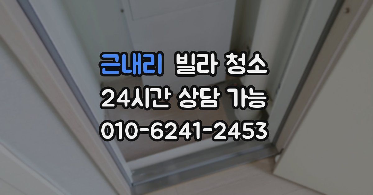 근내리 빌라 청소