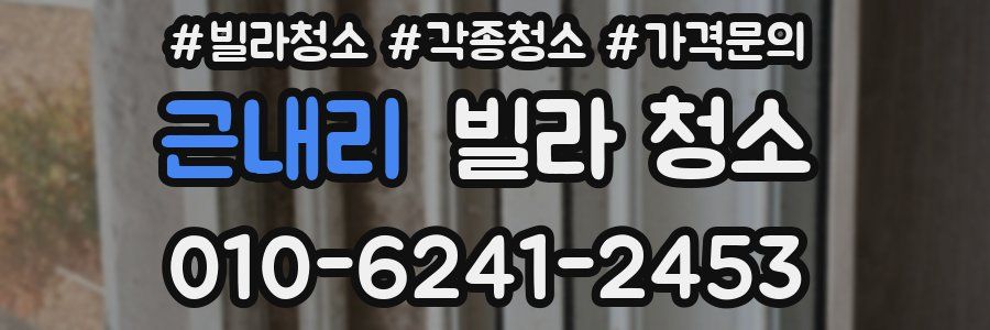 근내리 빌라 청소