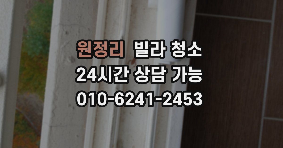 원정리 빌라 청소