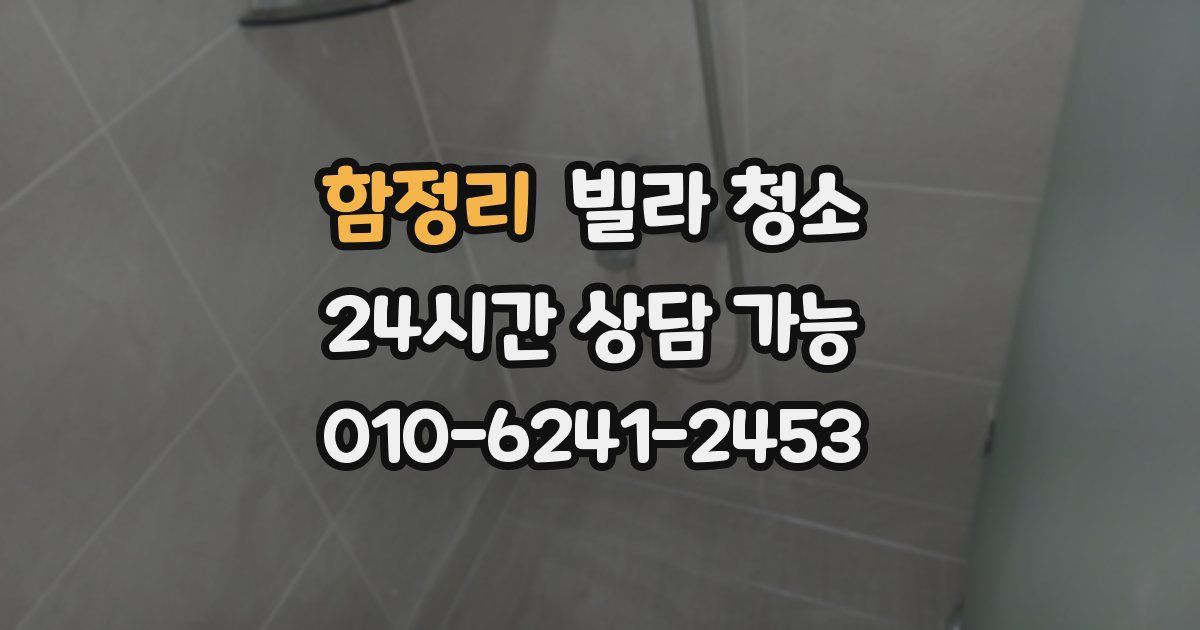 함정리 빌라 청소