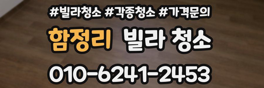 함정리 빌라 청소