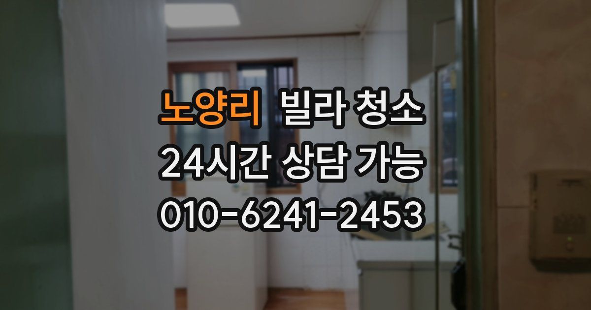 노양리 빌라 청소