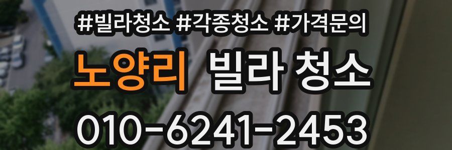노양리 빌라 청소