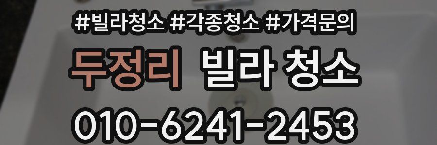 두정리 빌라 청소